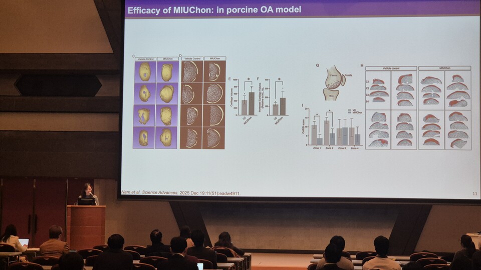 임예리 교수 발표 모습 (출처 : 입셀)