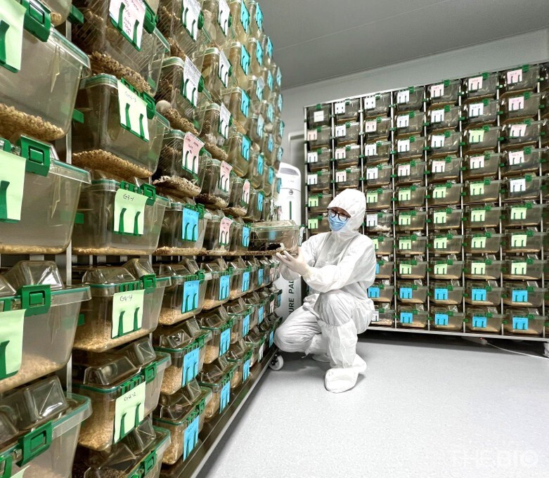 넥스아이 연구원이 ‘SPF(Specific Pathogen-free)’ 레벨로 운영되는 마우스 사육실에서 마우스의 상태를 확인하고 있다. (출처 : 넥스아이)