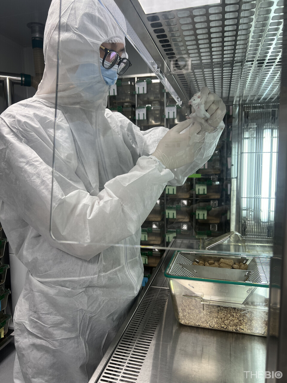 넥스아이 연구원이 ‘SPF(Specific Pathogen-free)’ 레벨로 운영되는 마우스 사육실에서 마우스의 상태를 확인하고 있다. (출처 : 넥스아이)