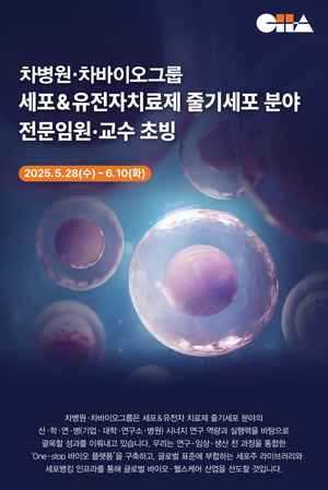 안전한 바카라 사이트